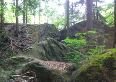 Hauterive 1