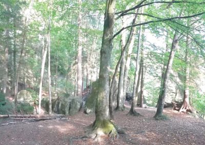 Hauterive 13