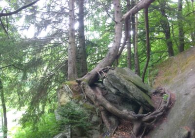 Hauterive 2