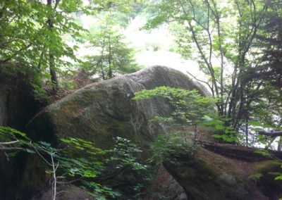 Hauterive 3