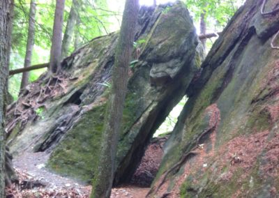 Hauterive 5