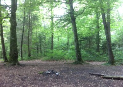 Hauterive 6