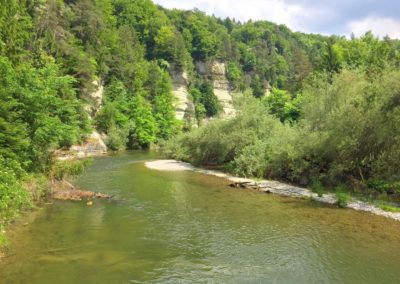 Hauterive 7