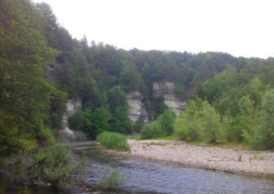 Hauterive 8