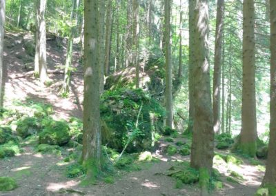 Chaudron 6