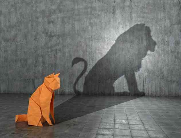 Chat avec ombre lion