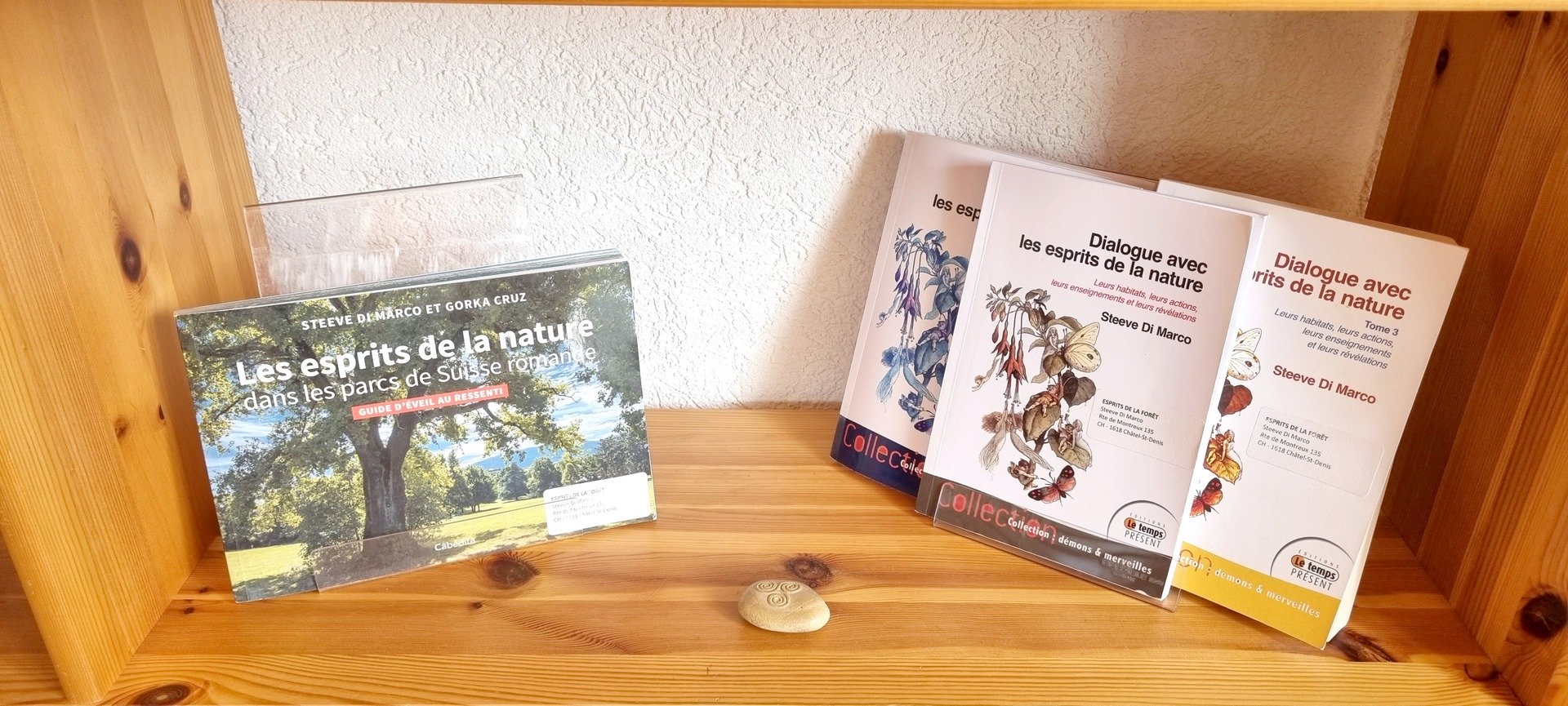 quatre livres écrits par Steeve Di Marco dans étagère en bois